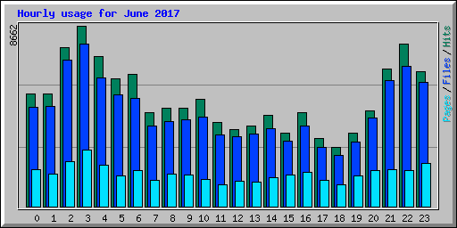Hourly usage for June 2017