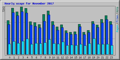 Hourly usage for November 2017